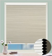 HP112LL3062-25mm Cordless Cellular Blinds