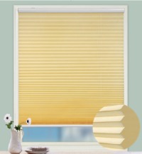 20mm Cordless Pleated Blind