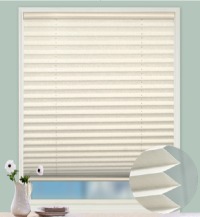 25mm Cordless Pleated Blind